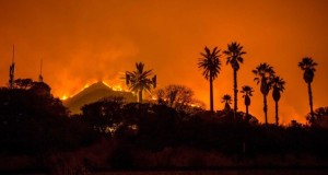 Lista de albergues y refugios de animales, miles de evacuados por incendios en California.