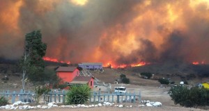 Imágenes impactantes de los incendios en California; ¿cómo ayudar?
