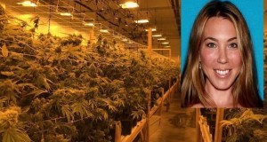 Cómo descubrieron a mujer con mega cultivo indoor de cannabis en California