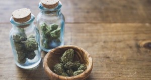 Comienza el furor del cannabis recreativo legal en California